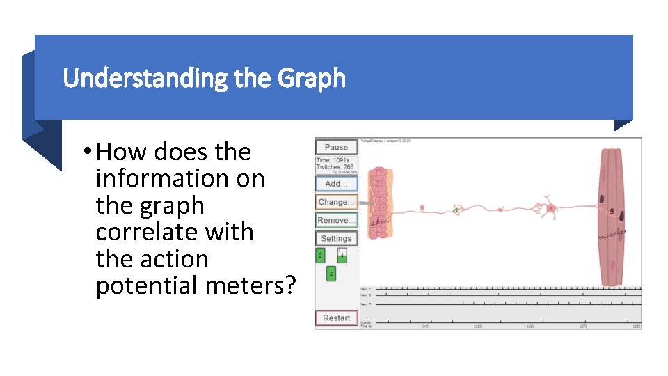 Understanding the Graph • How does the information on the graph correlate with the