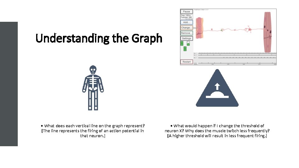 Understanding the Graph • What does each vertical line on the graph represent? [The