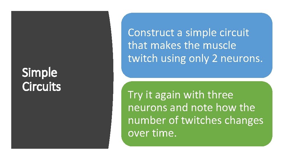 Simple Circuits Construct a simple circuit that makes the muscle twitch using only 2