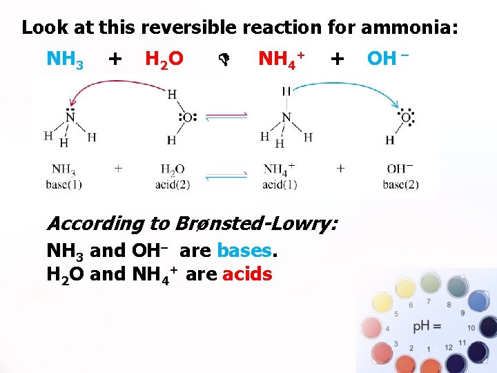 Look at this reversible reaction for ammonia: . NH 3 + H 2 O