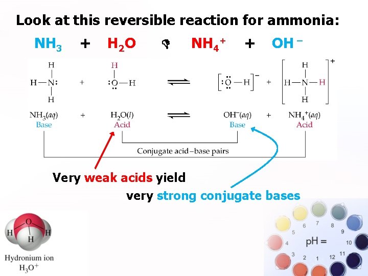 Look at this reversible reaction for ammonia: . NH 3 + H 2 O