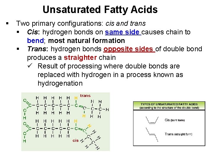 Unsaturated Fatty Acids § Two primary configurations: cis and trans § Cis: hydrogen bonds