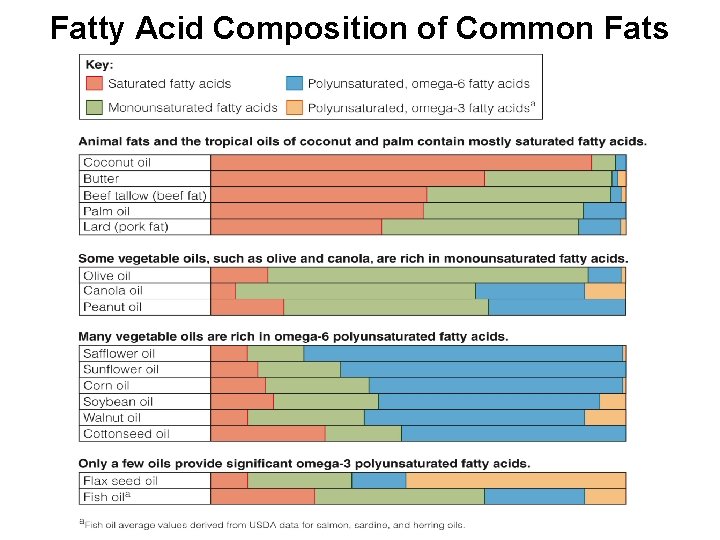 Fatty Acid Composition of Common Fats 