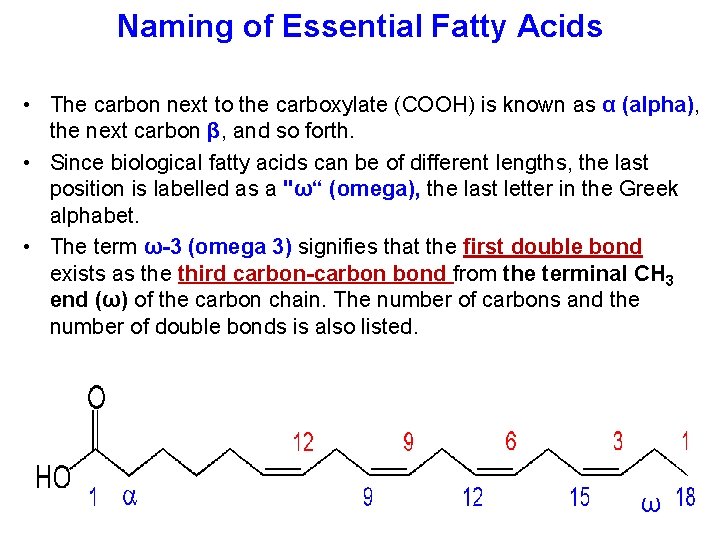 Naming of Essential Fatty Acids • The carbon next to the carboxylate (COOH) is