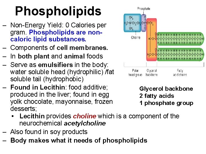 Phospholipids – Non-Energy Yield: 0 Calories per gram. Phospholipids are noncaloric lipid substances. –