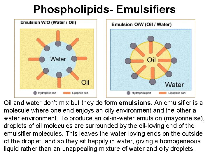 Phospholipids- Emulsifiers Oil and water don’t mix but they do form emulsions. An emulsifier