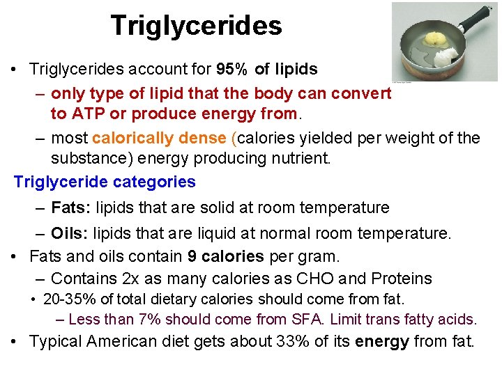 Triglycerides • Triglycerides account for 95% of lipids – only type of lipid that