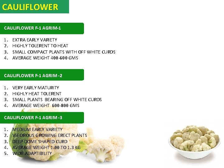 CAULIFLOWER F-1 AGRIM-1 1. 2. 3. 4. EXTRA EARLY VARIETY HIGHLY TOLERENT TO HEAT