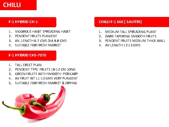 CHILLI F-1 HYBRID CH-1 CHILLI F-1 666 [ SAVITRI] 1. 2. 3. 4. VIGOROUS