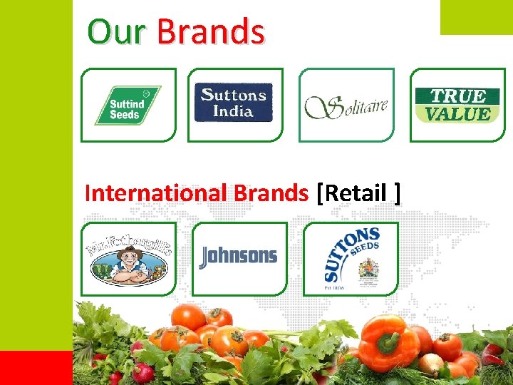 Our Brands International Brands [Retail ] 