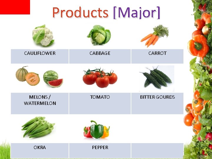 Products [Major] CAULIFLOWER CABBAGE CARROT MELONS / WATERMELON TOMATO BITTER GOURDS OKRA PEPPER 
