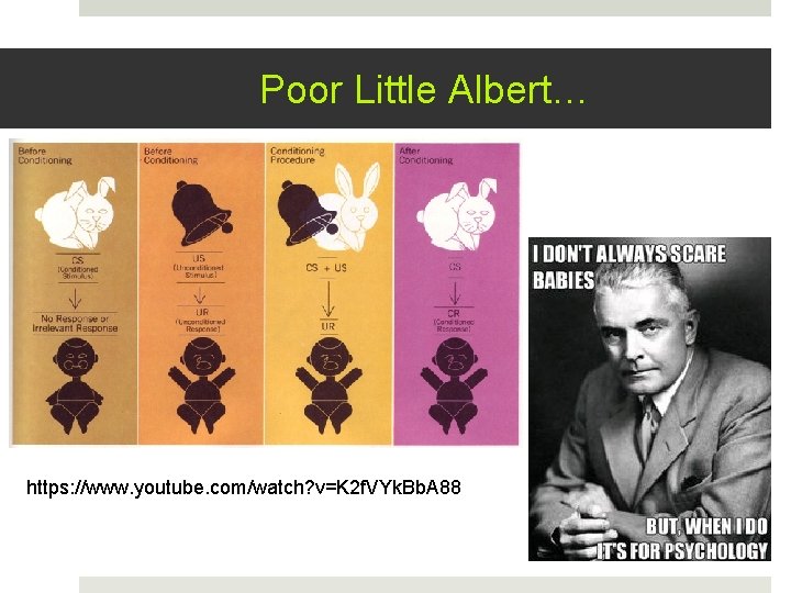 Poor Little Albert… https: //www. youtube. com/watch? v=K 2 f. VYk. Bb. A 88