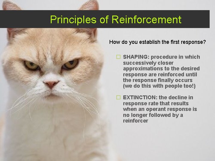 Principles of Reinforcement How do you establish the first response? � SHAPING: procedure in