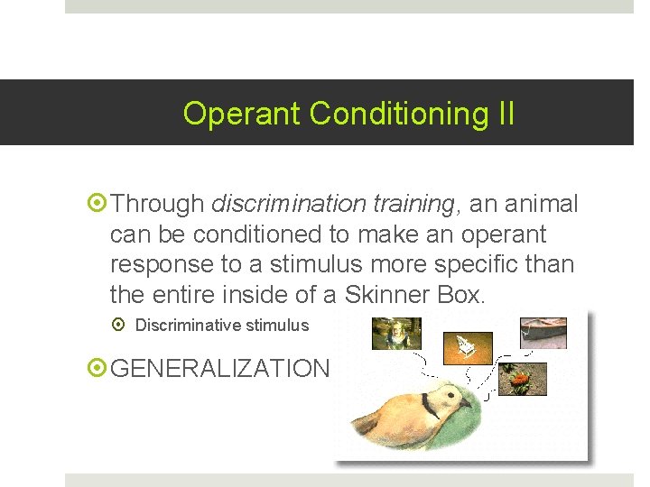 Operant Conditioning II Through discrimination training, an animal can be conditioned to make an