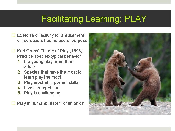 Facilitating Learning: PLAY � Exercise or activity for amusement or recreation; has no useful