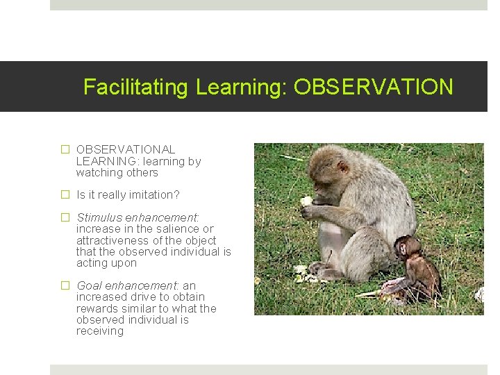 Facilitating Learning: OBSERVATION � OBSERVATIONAL LEARNING: learning by watching others � Is it really