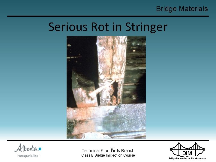 Bridge Materials Serious Rot in Stringer 70 Branch Technical Standards Class B Bridge Inspection