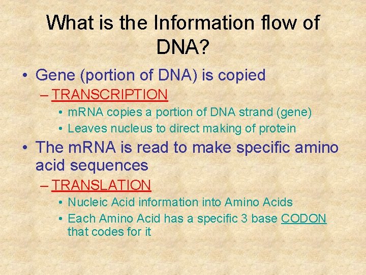 What is the Information flow of DNA? • Gene (portion of DNA) is copied