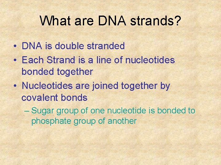 What are DNA strands? • DNA is double stranded • Each Strand is a