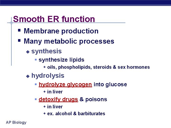 Smooth ER function § Membrane production § Many metabolic processes u synthesis § synthesize Smooth ER function § Membrane production § Many metabolic processes u synthesis § synthesize