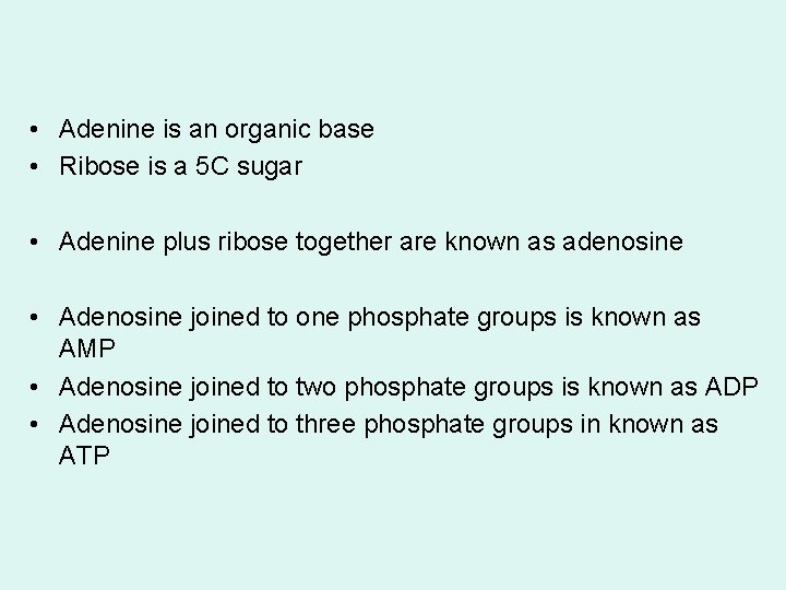  • Adenine is an organic base • Ribose is a 5 C sugar