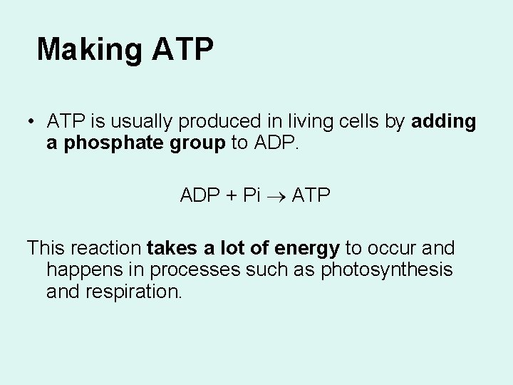 Making ATP • ATP is usually produced in living cells by adding a phosphate