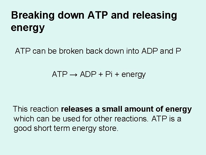 Breaking down ATP and releasing energy ATP can be broken back down into ADP