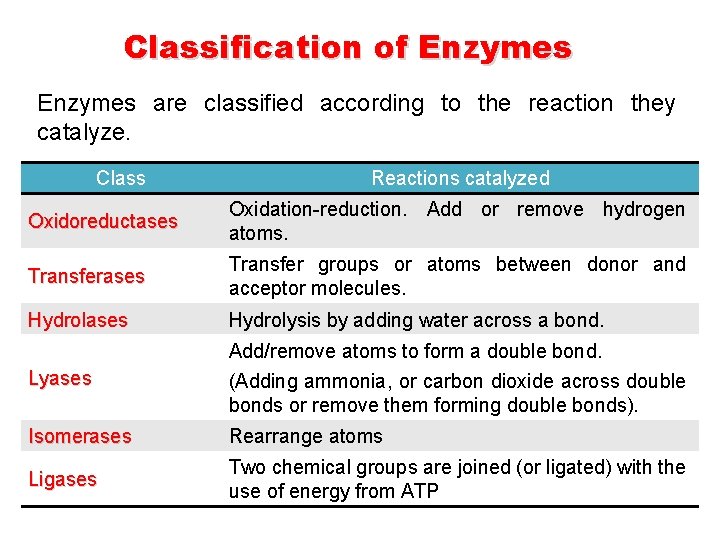 Classification of Enzymes are classified according to the reaction they catalyze. Class Reactions catalyzed