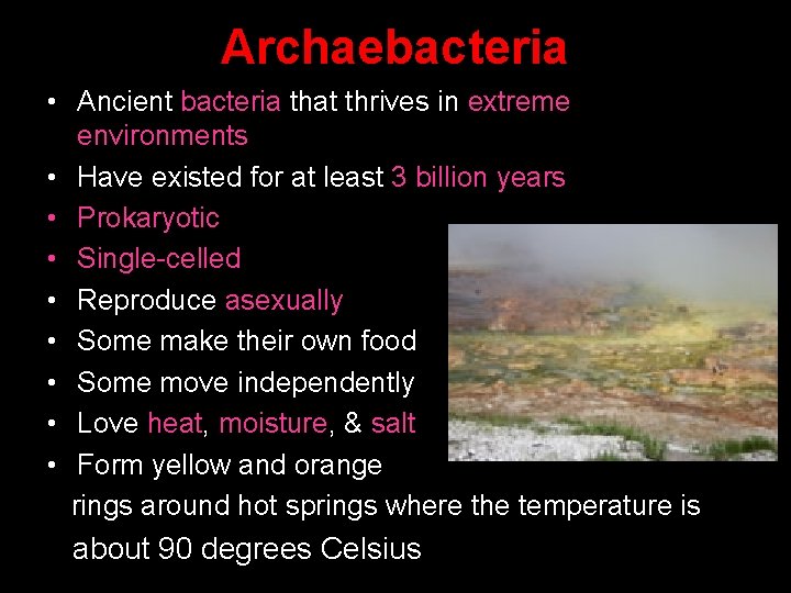 Archaebacteria • Ancient bacteria that thrives in extreme environments • Have existed for at