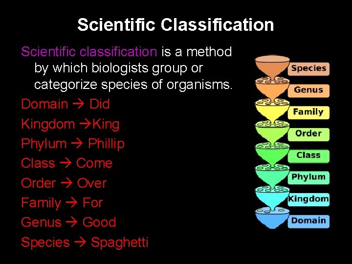 Scientific Classification Scientific classification is a method by which biologists group or categorize species