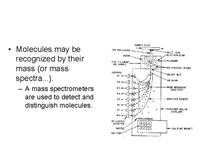  • Molecules may be recognized by their mass (or mass spectra. . .