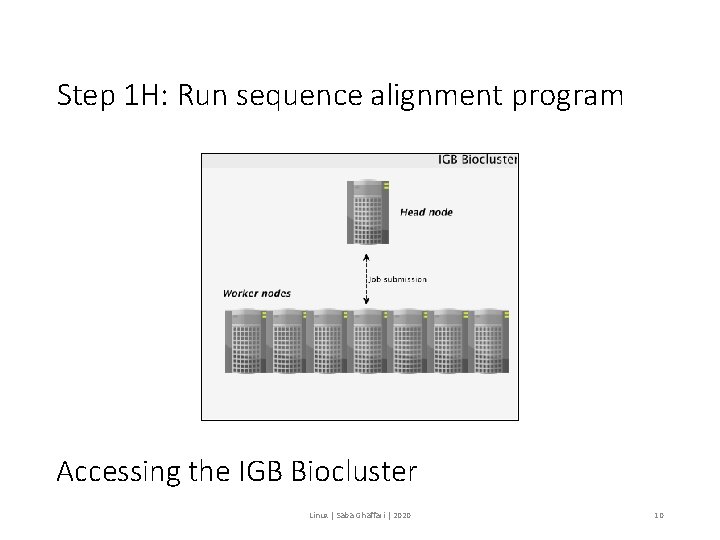 Step 1 H: Run sequence alignment program Accessing the IGB Biocluster Linux | Saba