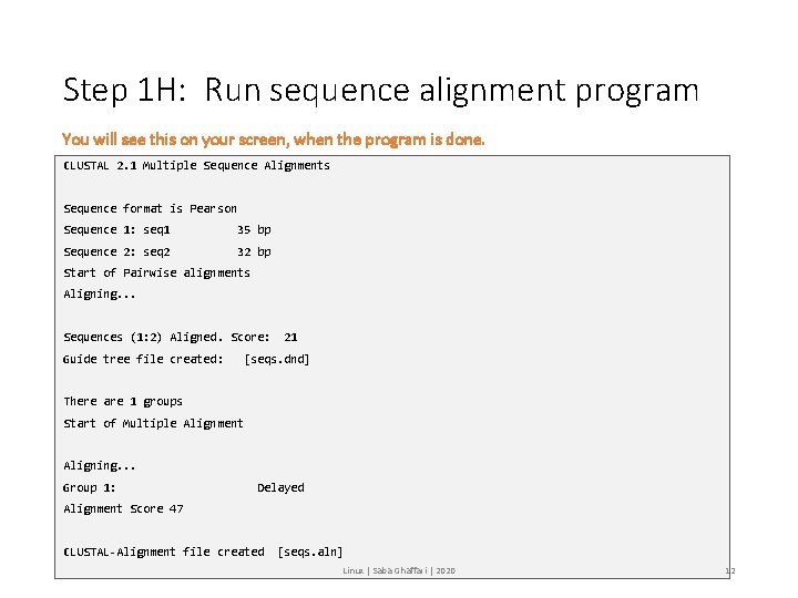 Step 1 H: Run sequence alignment program You will see this on your screen,