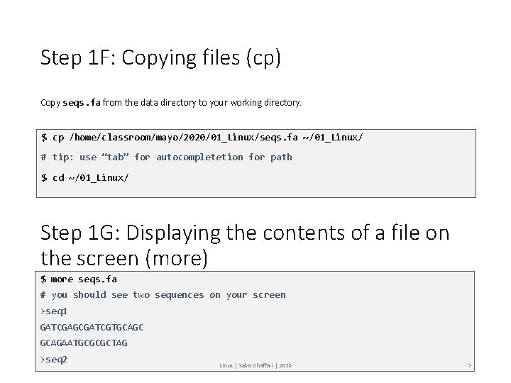 Step 1 F: Copying files (cp) Copy seqs. fa from the data directory to