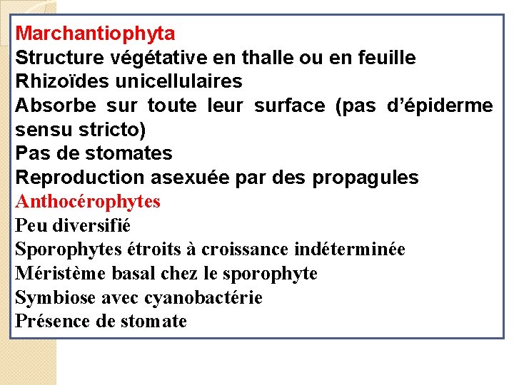 Marchantiophyta Structure végétative en thalle ou en feuille Rhizoïdes unicellulaires Absorbe sur toute leur