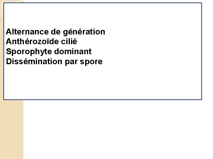 Alternance de génération Anthérozoïde cilié Sporophyte dominant Dissémination par spore 