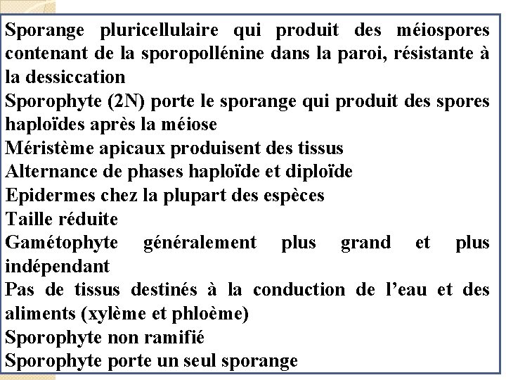 Sporange pluricellulaire qui produit des méiospores contenant de la sporopollénine dans la paroi, résistante