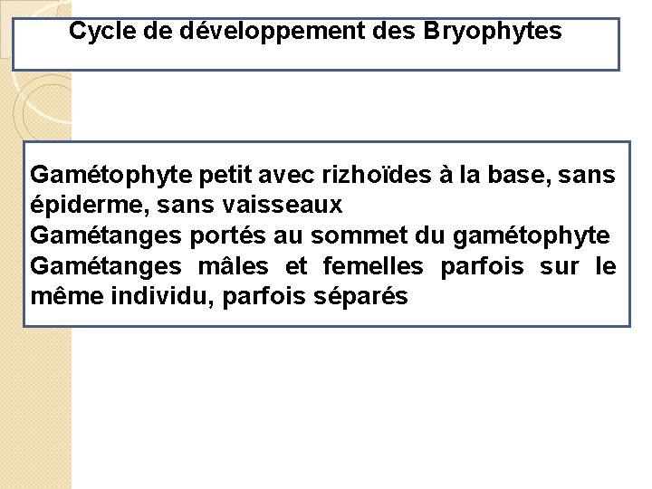 Cycle de développement des Bryophytes Gamétophyte petit avec rizhoïdes à la base, sans épiderme,