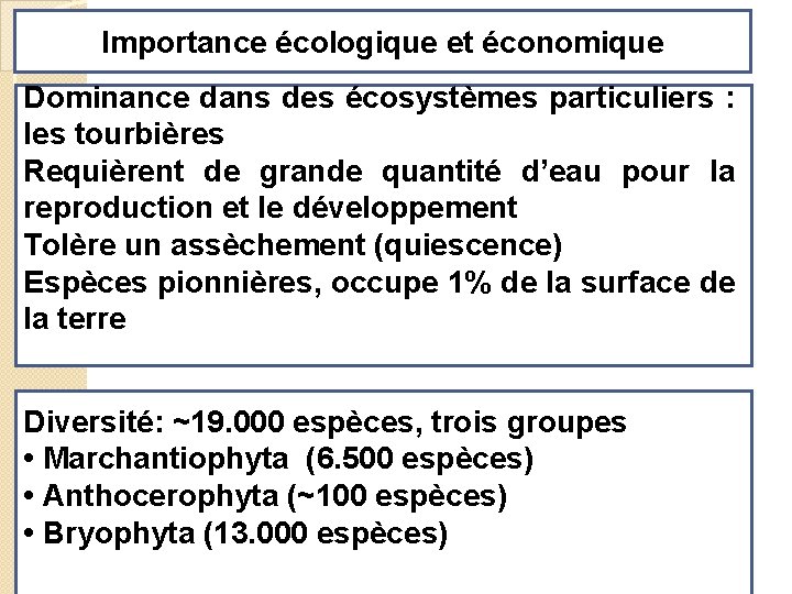 Importance écologique et économique Dominance dans des écosystèmes particuliers : les tourbières Requièrent de