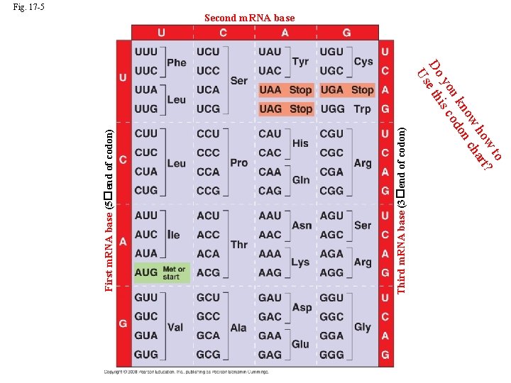 to w ? ho rt w cha no on u k od yo is