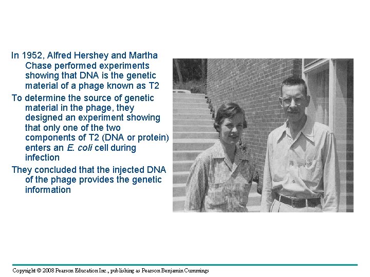 In 1952, Alfred Hershey and Martha Chase performed experiments showing that DNA is the