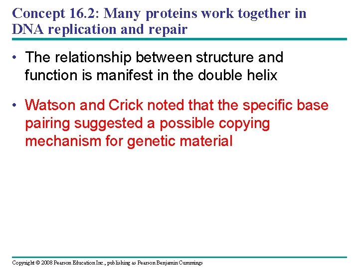 Concept 16. 2: Many proteins work together in DNA replication and repair • The