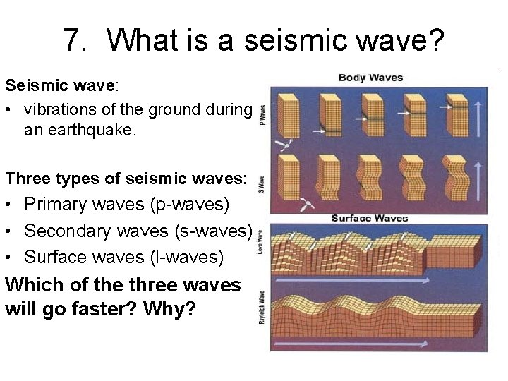 7. What is a seismic wave? Seismic wave: • vibrations of the ground during