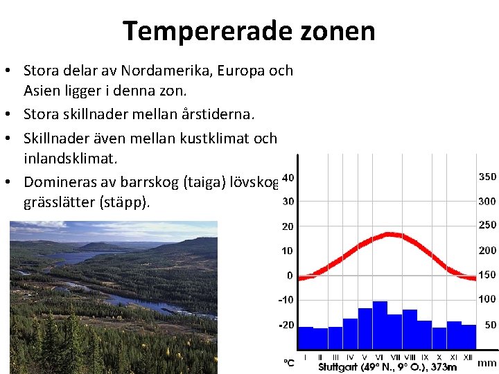 Tempererade zonen • Stora delar av Nordamerika, Europa och Asien ligger i denna zon.