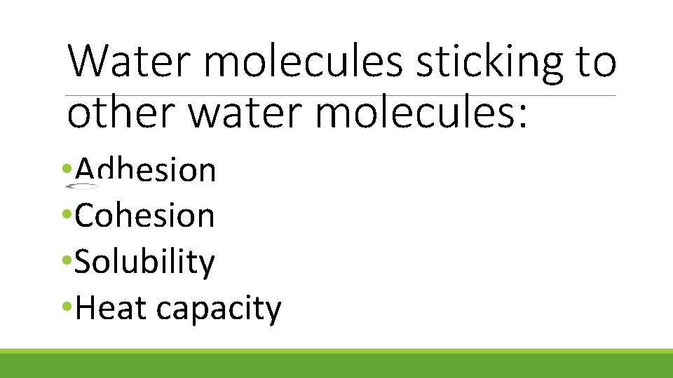 Water molecules sticking to other water molecules: • Adhesion • Cohesion • Solubility •