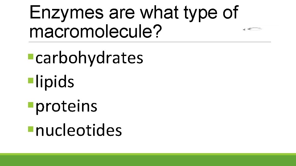Enzymes are what type of macromolecule? §carbohydrates §lipids §proteins §nucleotides 