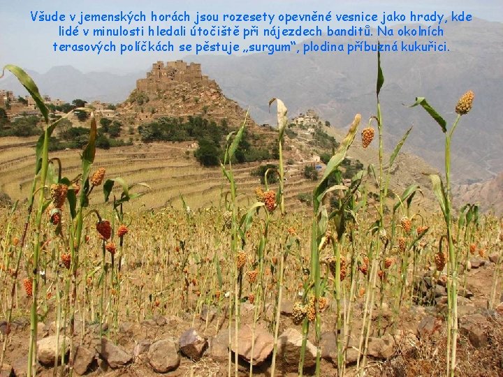 Všude v jemenských horách jsou rozesety opevněné vesnice jako hrady, kde lidé v minulosti