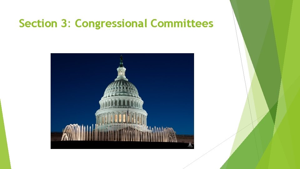 Section 3: Congressional Committees 