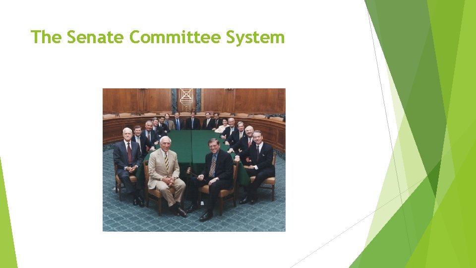 The Senate Committee System 