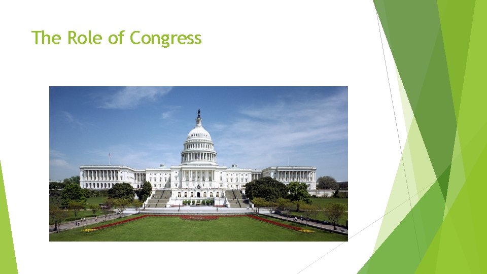 The Role of Congress 